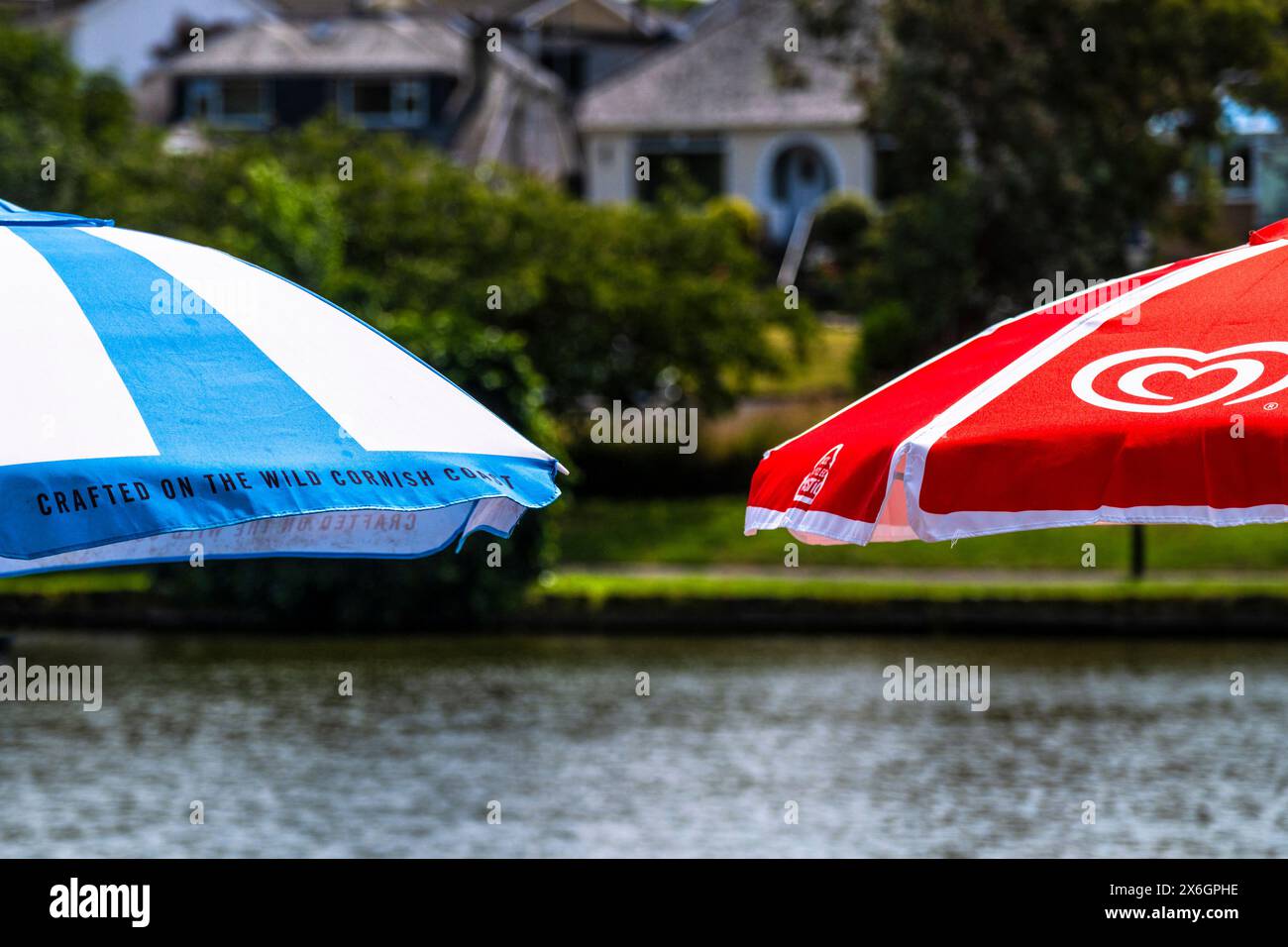 Bunte Sonnenschirme am Trenance Boating Lake in Newquay in Cornwall, Großbritannien. Stockfoto