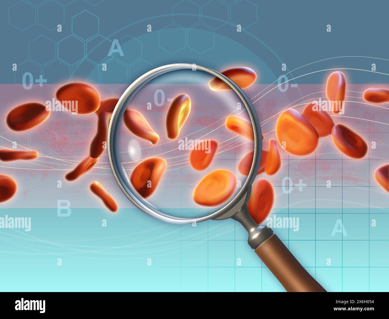 Menschlicher Blutstrom unter einer Lupe. Digitale Illustration, 3D-Rendering. Stockfoto