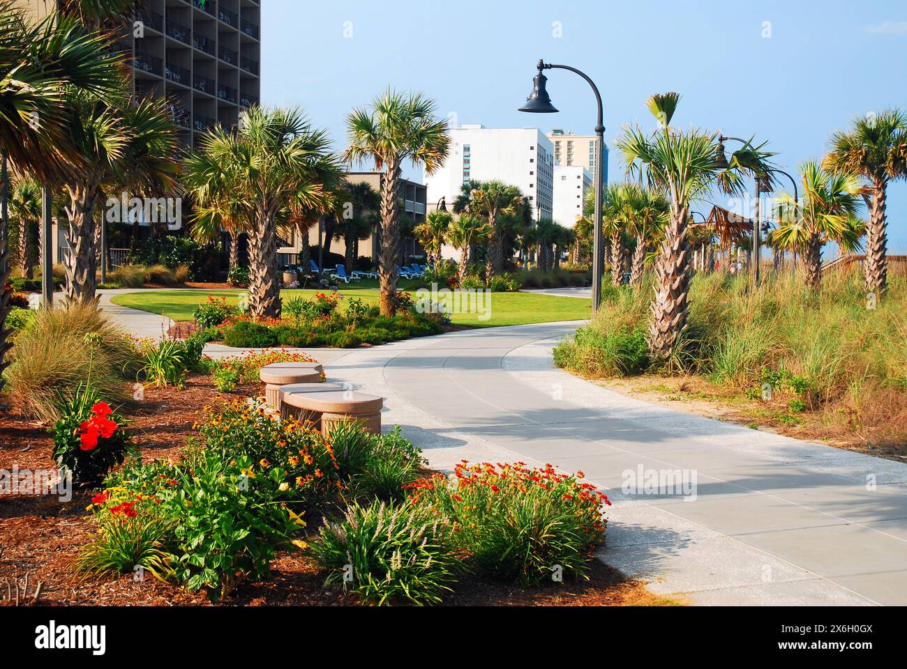 Ein Pfad führt durch einen landschaftlich gestalteten Park mit Palmenbäumen in der Nähe des Sandes von Myrtle Beach South Carolina Stockfoto