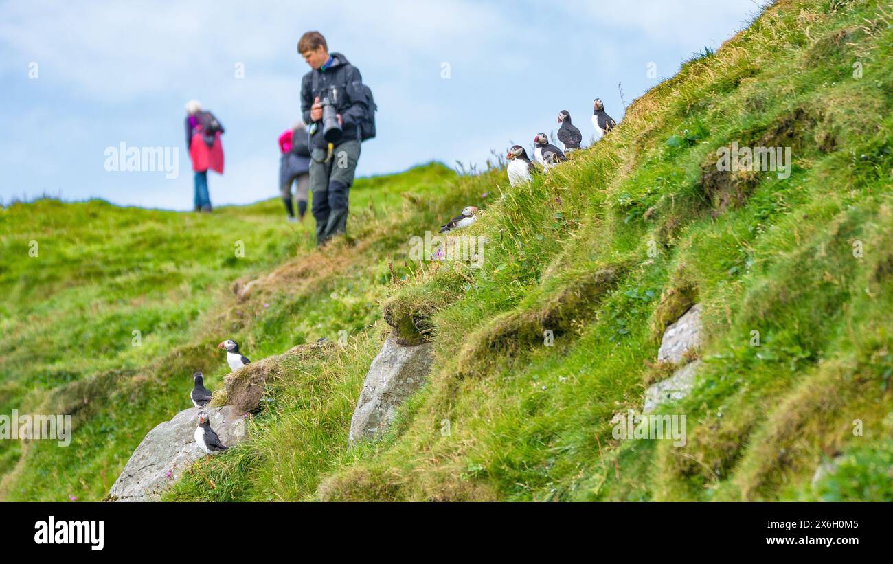 Mykines, Färöer Inseln - 8. August 2017: Panoramablick auf Mykines Insel, Vogelbeobachtungsziel für Papageientaucher. Fotograf mit Kamera ist Makin Stockfoto