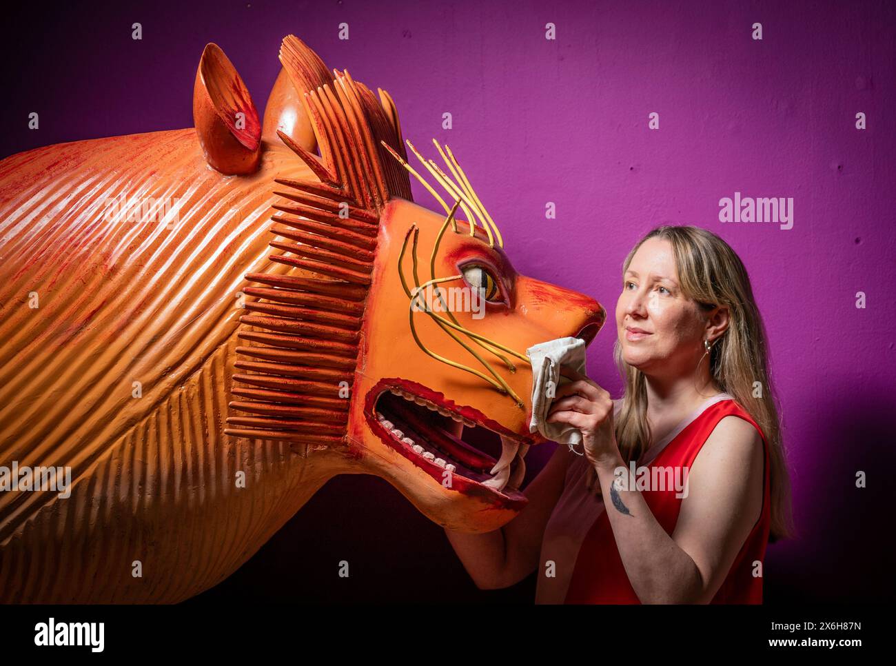 Kat Baxter, Kurator der Archäologie, reinigt einen löwenförmigen Sarg, der vom weltberühmten ghanaischen Sargenschreiner Paa Joe hergestellt wurde, der für seine Schnitzerei von ausgeklügelten Aebuu Adekai oder „Sprichboxen“ bekannt ist, die darauf abzielen, Elemente des Lebens der verstorbenen Person zu erfassen. Der Sarg ist Teil der Ausstellung Living with Death im Leeds City Museum, die die verschiedenen Arten erforscht, wie Menschen Tod, Sterben und Trauer erleben. Bilddatum: Mittwoch, 15. Mai 2024. Stockfoto