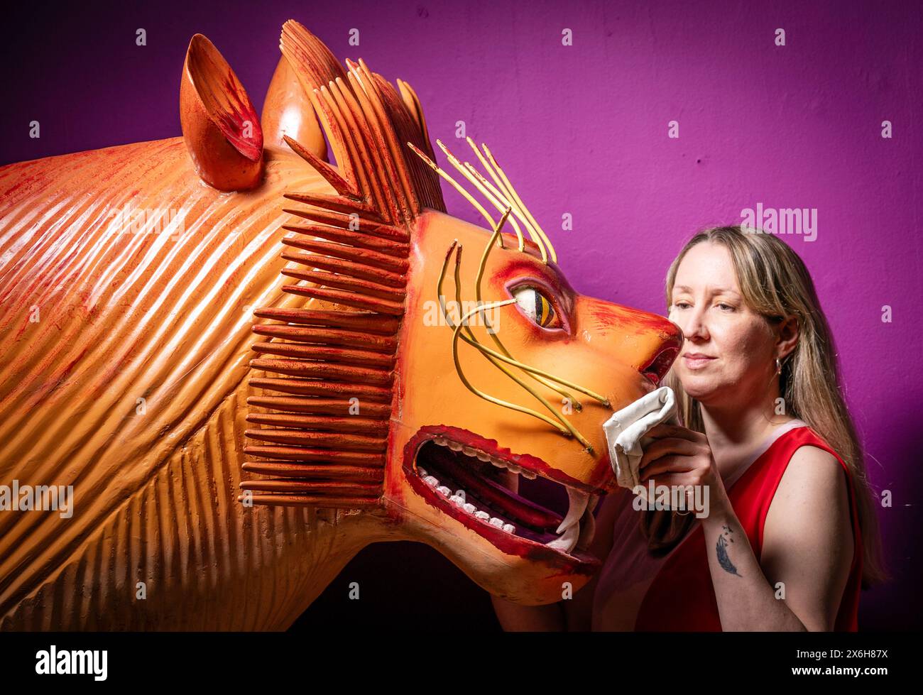 Kat Baxter, Kurator der Archäologie, reinigt einen löwenförmigen Sarg, der vom weltberühmten ghanaischen Sargenschreiner Paa Joe hergestellt wurde, der für seine Schnitzerei von ausgeklügelten Aebuu Adekai oder „Sprichboxen“ bekannt ist, die darauf abzielen, Elemente des Lebens der verstorbenen Person zu erfassen. Der Sarg ist Teil der Ausstellung Living with Death im Leeds City Museum, die die verschiedenen Arten erforscht, wie Menschen Tod, Sterben und Trauer erleben. Bilddatum: Mittwoch, 15. Mai 2024. Stockfoto