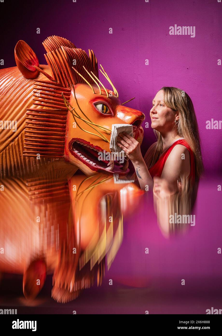 Kat Baxter, Kurator der Archäologie, reinigt einen löwenförmigen Sarg (reflektiert in einem Glasschrank), der von der weltberühmten ghanaischen Sargenschreinerin Paa Joe hergestellt wurde, bekannt für die Schnitzerei von raffinierten benutzerdefinierten Aebuu Adekai, oder „Sprichboxen“, die darauf abzielen, Elemente des Lebens des Verstorbenen festzuhalten. Der Sarg ist Teil der Ausstellung Living with Death im Leeds City Museum, die die verschiedenen Arten erforscht, wie Menschen Tod, Sterben und Trauer erleben. Bilddatum: Mittwoch, 15. Mai 2024. Stockfoto