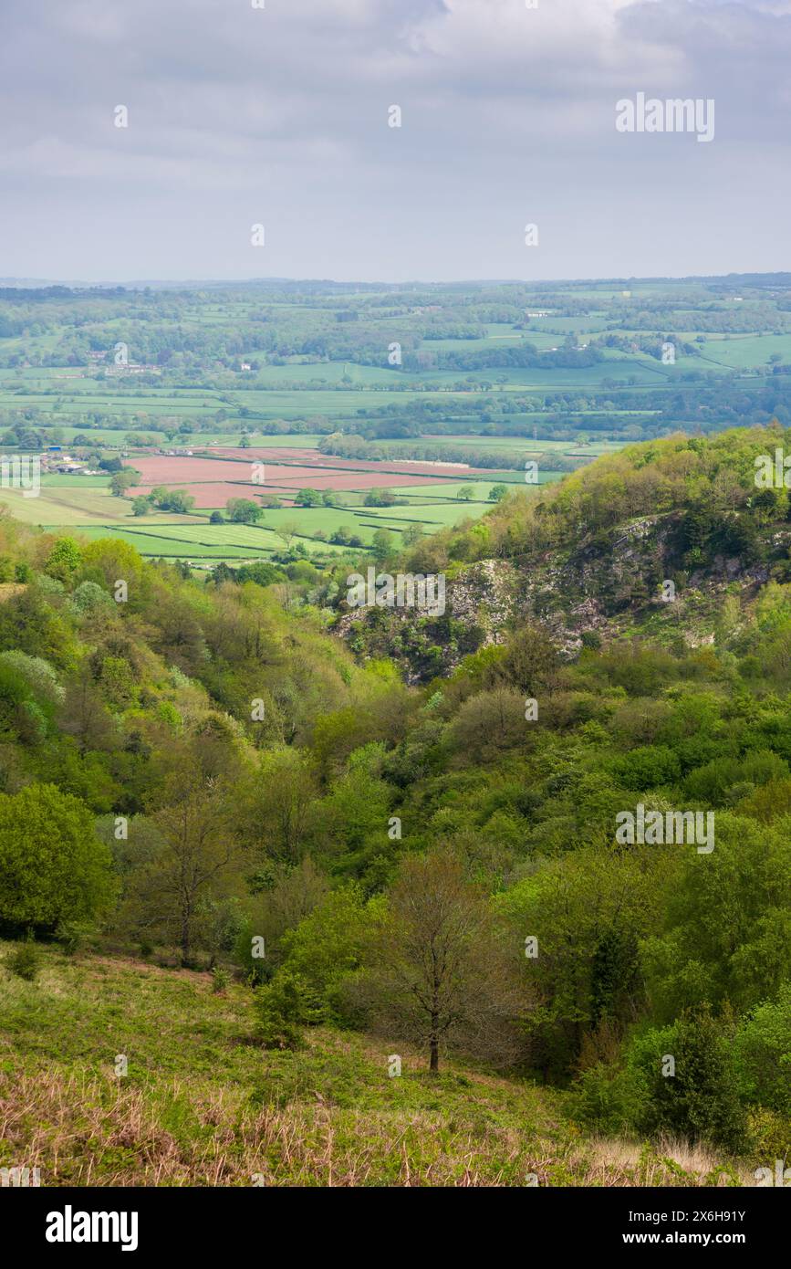 Burrington Combe an den nördlichen Hängen der Mendip Hills National Landscape von Black Down, Somerset, England. Stockfoto