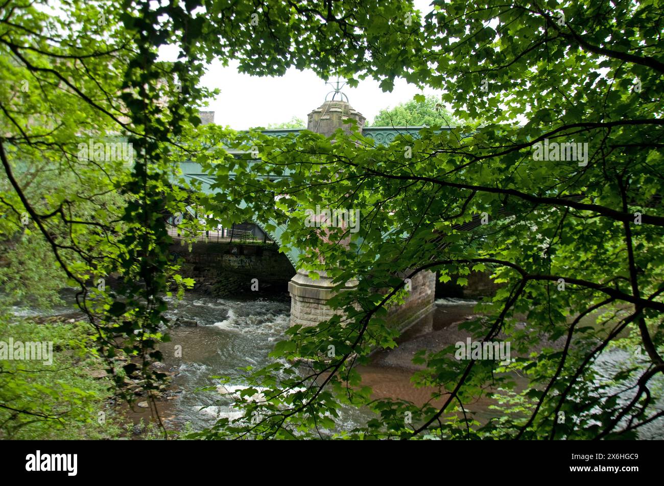 Kelvin Bridge und der Fluss Kelvin, Glasgow, Schottland, Vereinigtes Königreich; Vegetation; ivy; Stromschnellen; Stockfoto