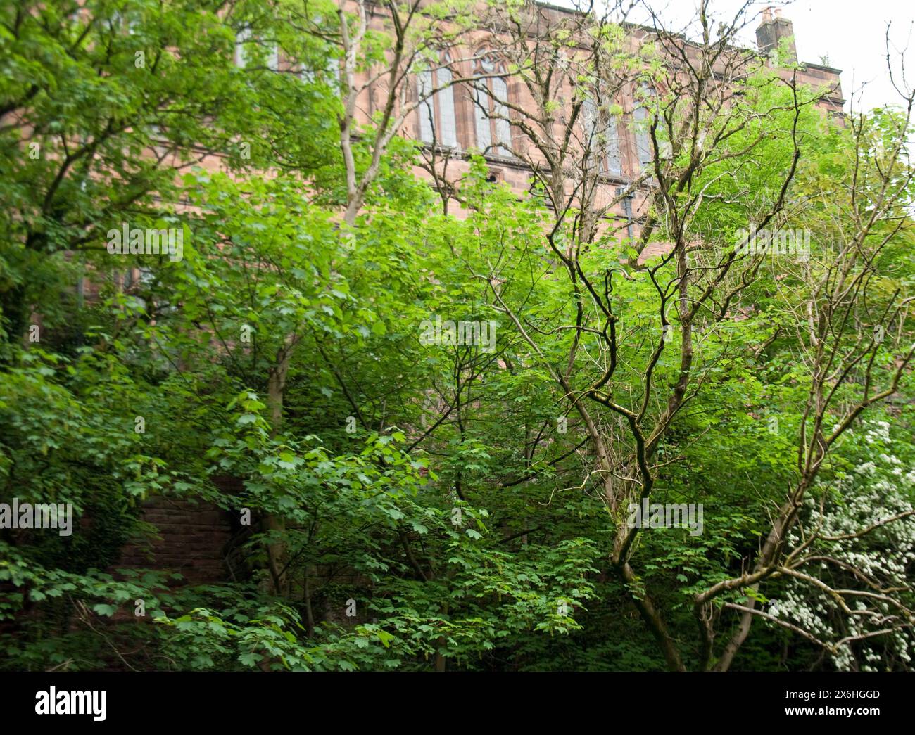 Kelvinbridge Parish Church from the River Kelvin; Glasgow; Schottland, Großbritannien Stockfoto