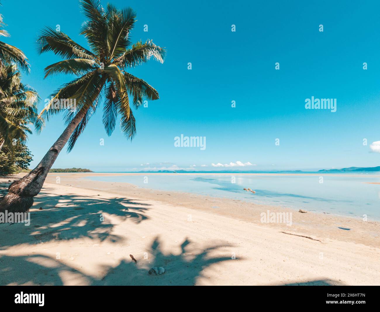 Tropischer Strand mit Kokospalmen und türkisfarbenem Wasser. Tropischer Inselstrand mit weißem Sand, türkisfarbenem Meerwasser und Kokospalmen. Palawan Stockfoto