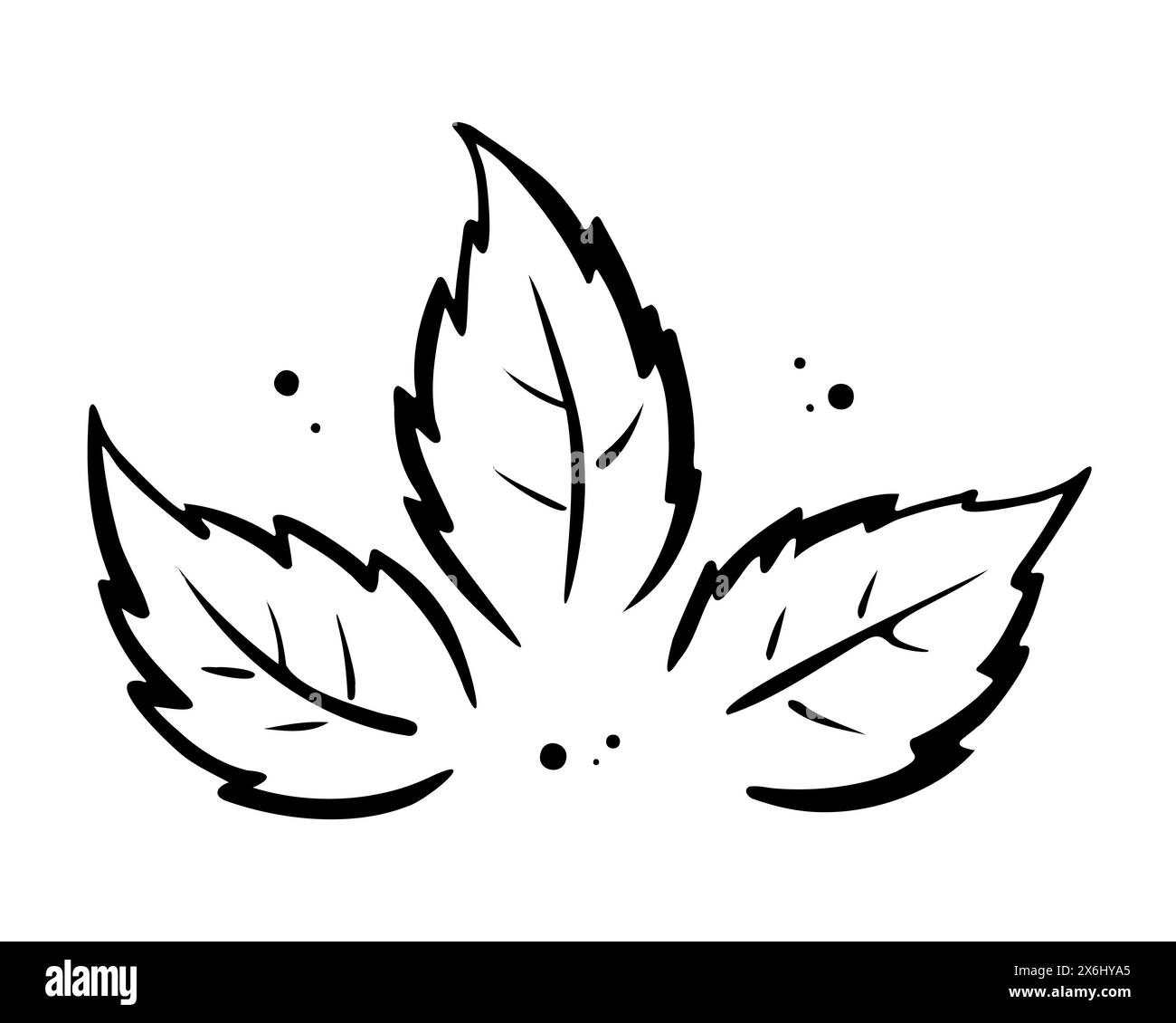 Doodle Leaves, stilisierte Zeichenblätter setzen Kontur, isoliert auf weißem Hintergrund. Vektorabbildung Stock Vektor