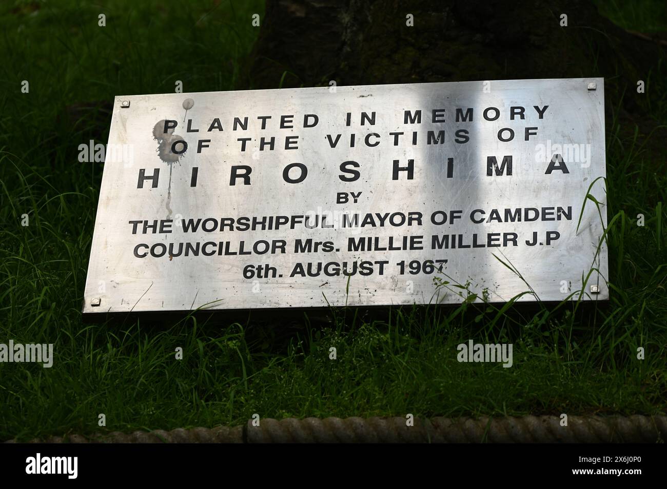 LONDON, ENGLAND, Großbritannien - 15. MAI 2024: Am 15. Mai, jedes Jahr an diejenigen gedenken, die sich weigerten, auf Gedenkfeier der Kriegsdienstverweigerer zu kämpfen, sowohl in der Vergangenheit als auch in der Gegenwart. Auf der ganzen Welt werden viele Menschen inhaftiert oder gezwungen, aus ihren Heimatländern zu fliehen, weil sie sich weigern, sich den Streitkräften am Tavistock Square in London anzuschließen. Quelle: Siehe Li/Picture Capital/Alamy Live News Stockfoto