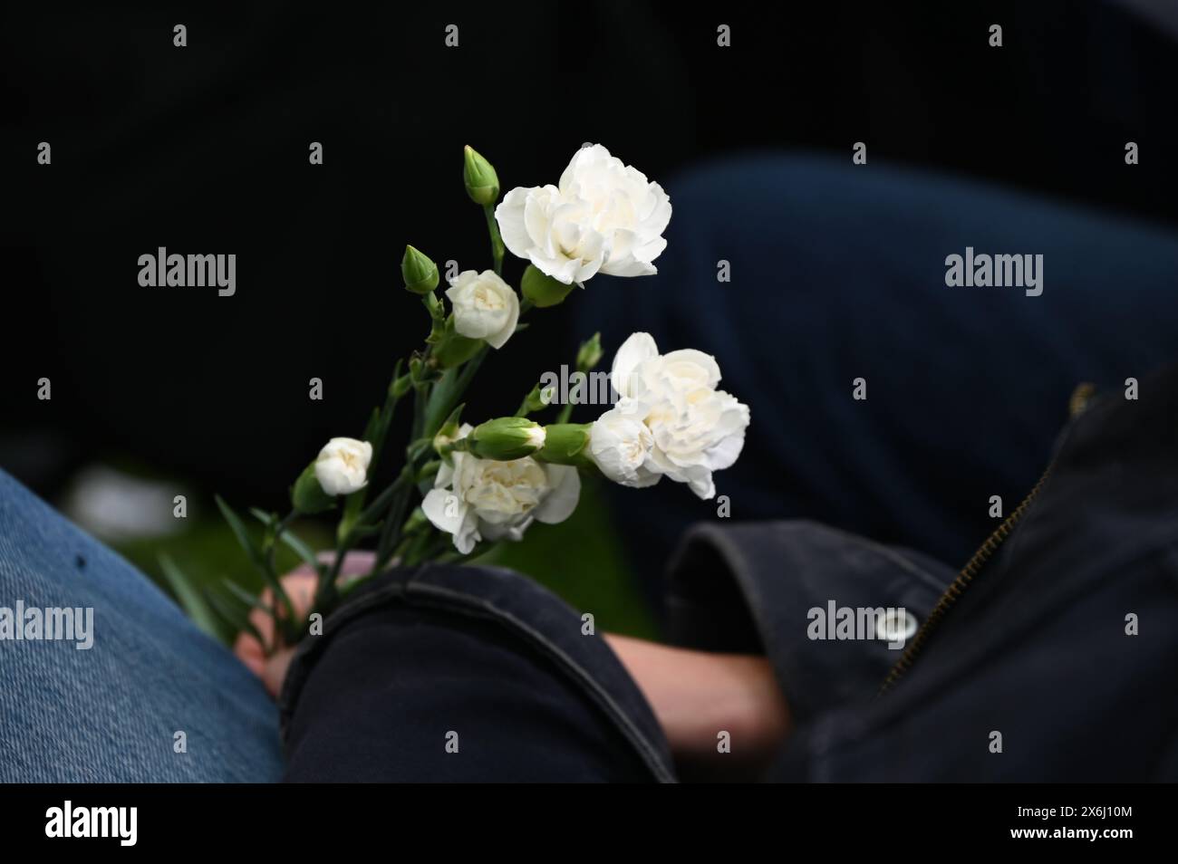 LONDON, ENGLAND, Großbritannien - 15. MAI 2024: Am 15. Mai, jedes Jahr an diejenigen gedenken, die sich weigerten, auf Gedenkfeier der Kriegsdienstverweigerer zu kämpfen, sowohl in der Vergangenheit als auch in der Gegenwart. Auf der ganzen Welt werden viele Menschen inhaftiert oder gezwungen, aus ihren Heimatländern zu fliehen, weil sie sich weigern, sich den Streitkräften am Tavistock Square in London anzuschließen. Quelle: Siehe Li/Picture Capital/Alamy Live News Stockfoto