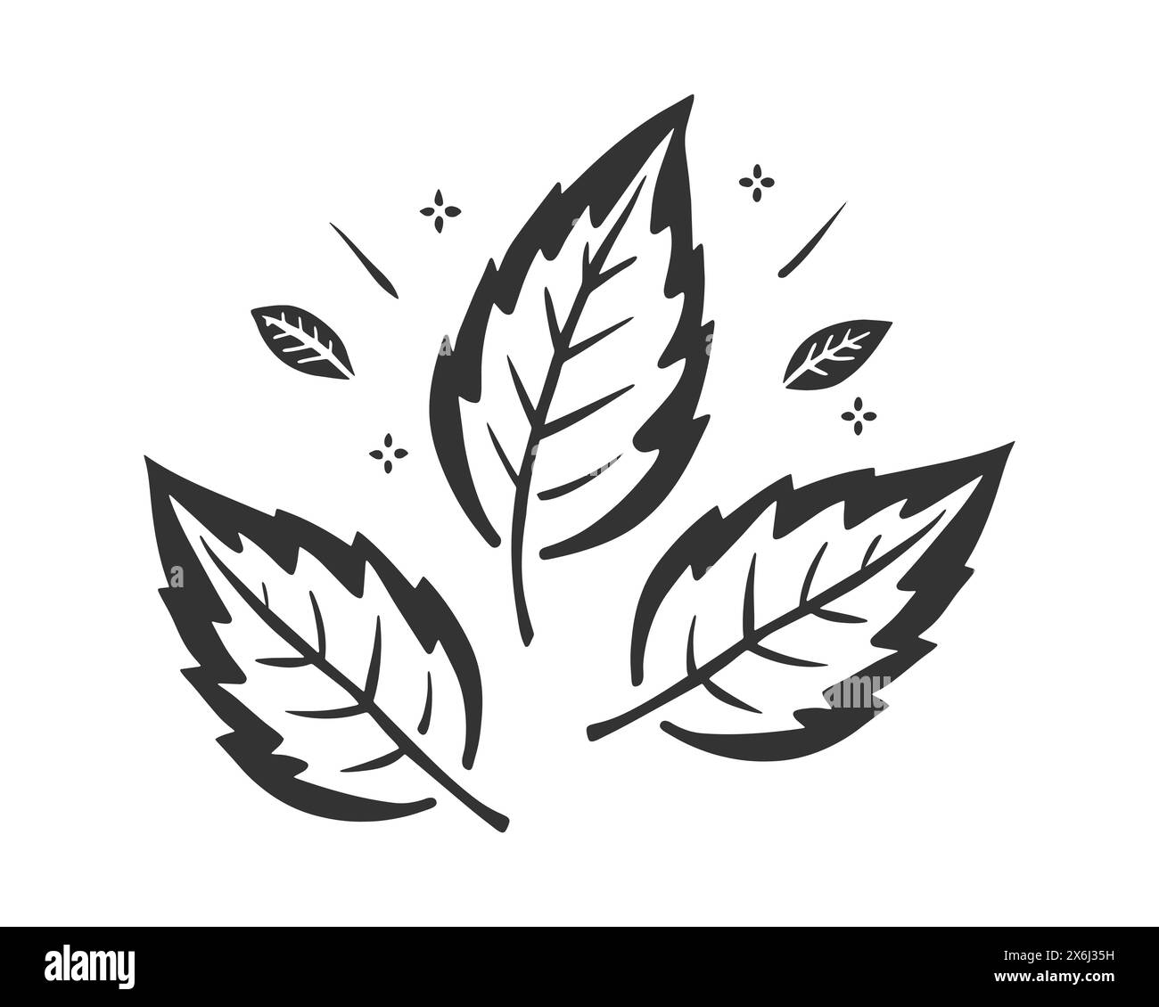 Doodle Leaves, stilisierte Zeichenblätter setzen Kontur, isoliert auf weißem Hintergrund. Vektorabbildung Stock Vektor