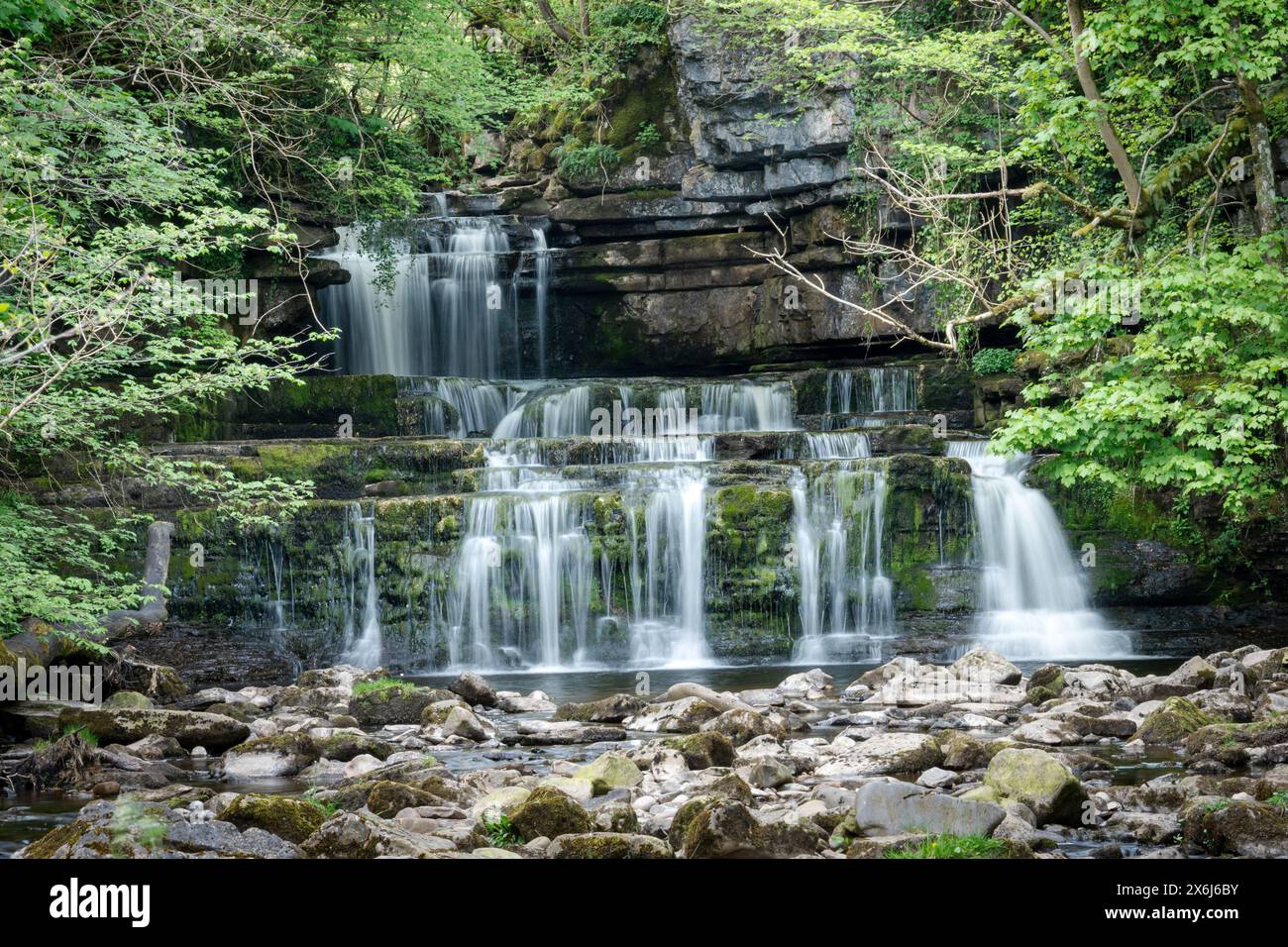 Der Cotter Force Wasserfall bei Hawes in den Yorkshire Dales, eine Süßwasserkaskade. Stockfoto