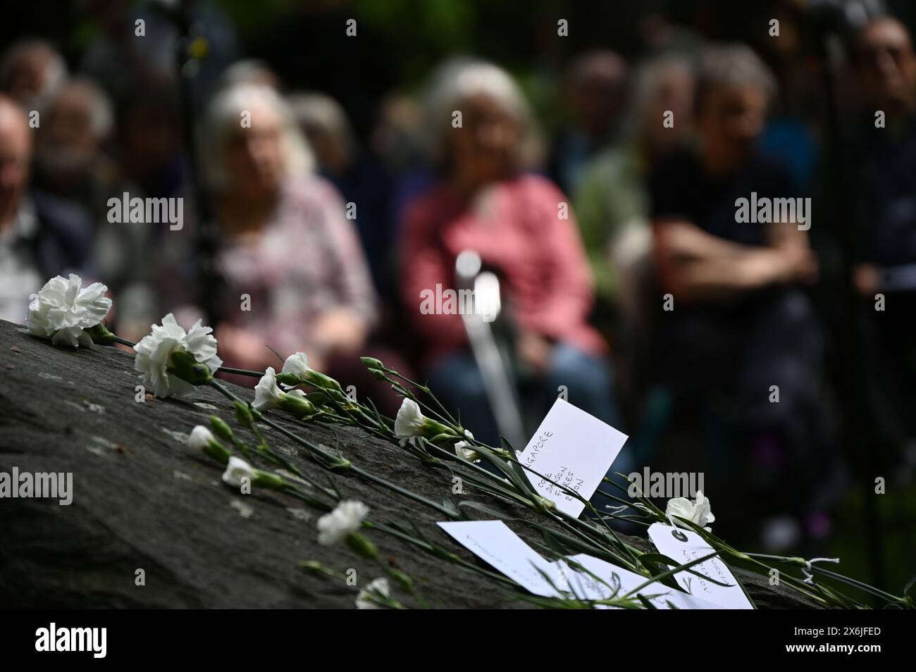 LONDON, ENGLAND, Großbritannien - 15. MAI 2024: Am 15. Mai, jedes Jahr an diejenigen gedenken, die sich weigerten, auf Gedenkfeier der Kriegsdienstverweigerer zu kämpfen, sowohl in der Vergangenheit als auch in der Gegenwart. Auf der ganzen Welt werden viele Menschen inhaftiert oder gezwungen, aus ihren Heimatländern zu fliehen, weil sie sich weigern, sich den Streitkräften am Tavistock Square in London anzuschließen. Quelle: Siehe Li/Picture Capital/Alamy Live News Stockfoto