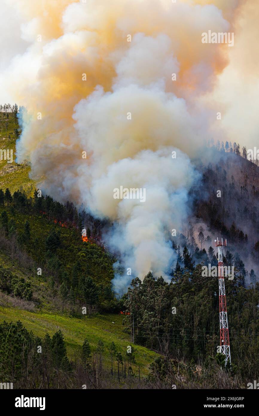 Landschaft in Südafrika, Waldbrand, Feuer, Rauch, Flammen, brennender Wald, Stockfoto