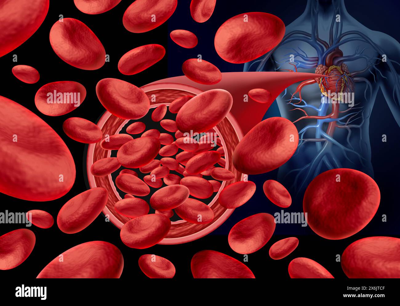 Normale Arterie Blutfluss und gesunde Arterien ohne Plaque als medizinisches Konzept mit Blutzellen, die normal fließen, ohne Cholestestestaufbau Stockfoto