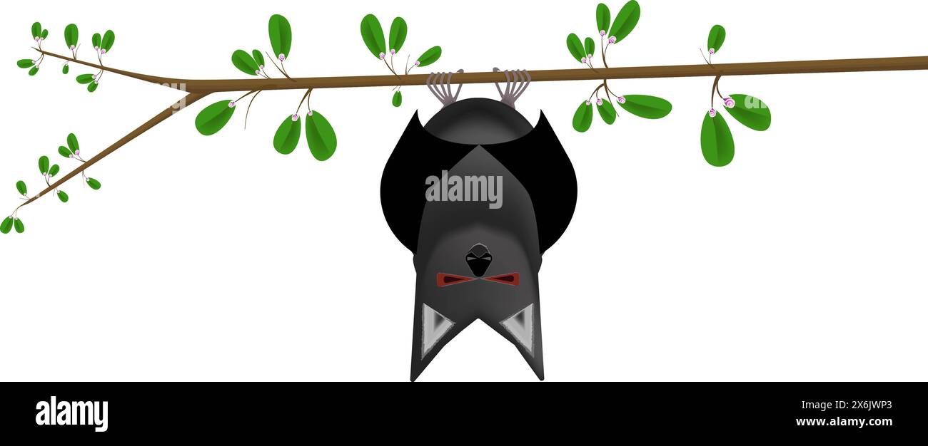 Fledermaus hängt vom Zweig des blühenden Apfelbaums Stockfoto