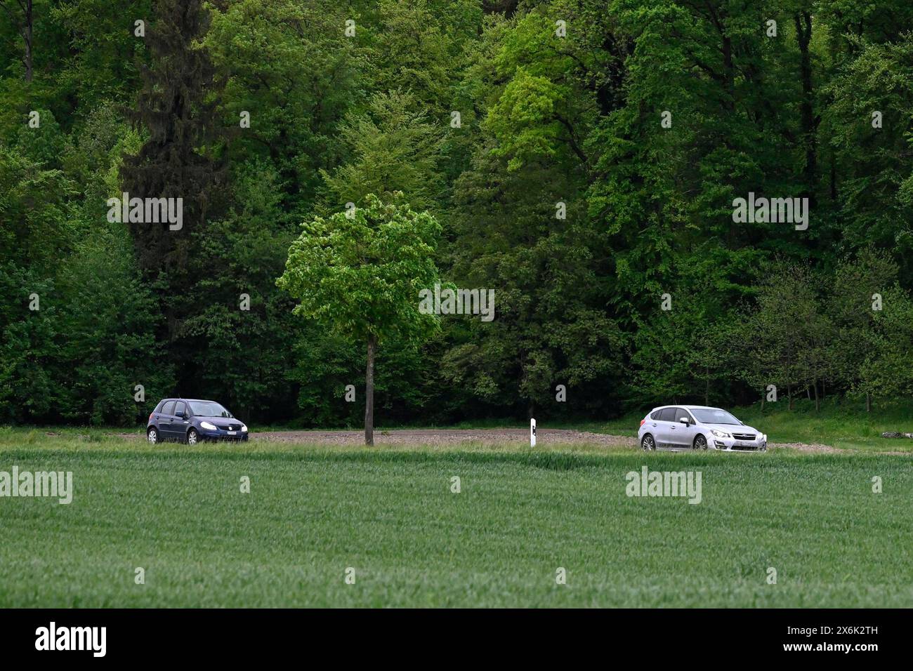 Pkw auf dem Land Stockfoto