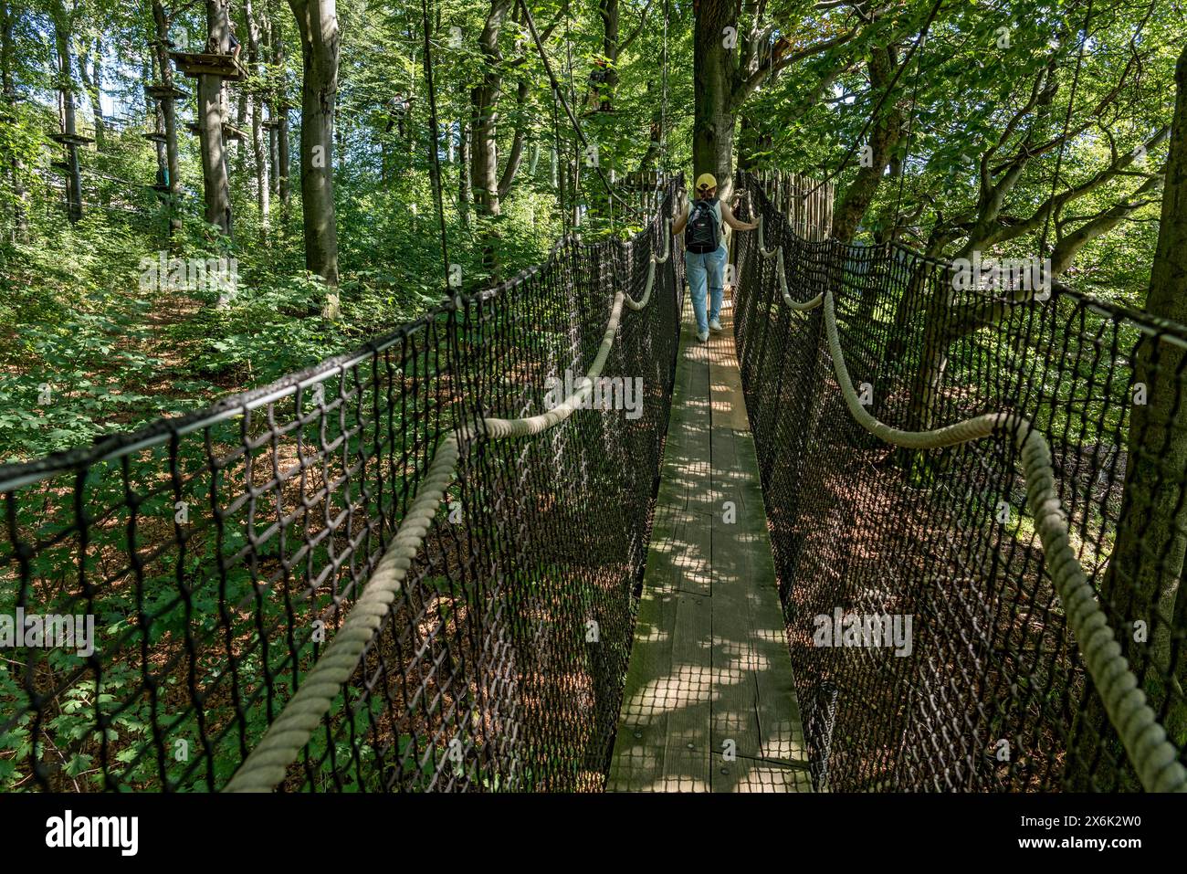 Frau auf Hängebrücke Baumwipfelpfad und Kletterwald, Plattformen, Seile, Seilleitern, Buchen, Buchenwald, Ausflug, Gipfelberg Stockfoto