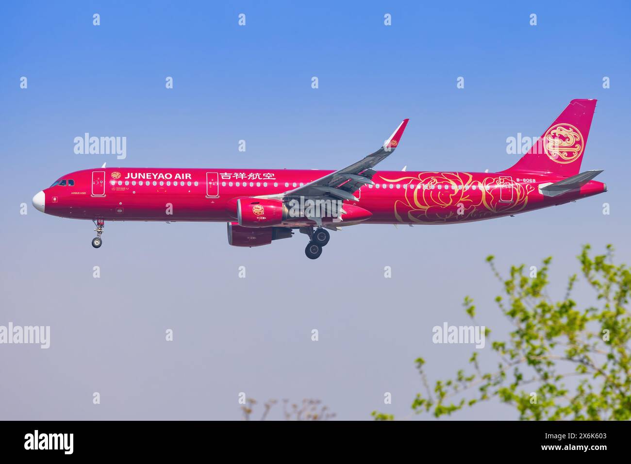 Shanghai, 9. April 2024: Flugzeug des Juneyao Airbus A321 am Flughafen Chengdu Tianfu Stockfoto