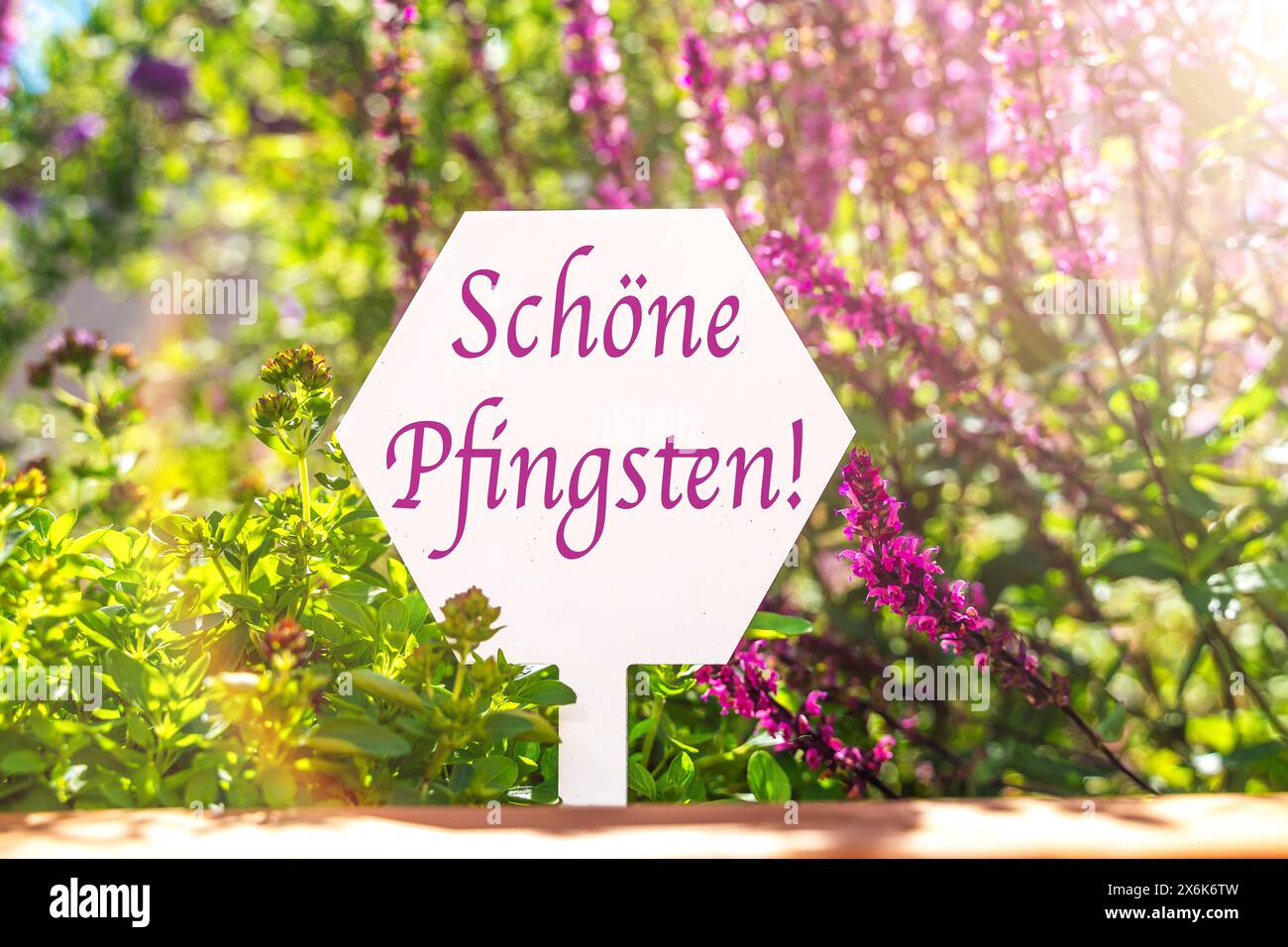 15. Mai 2024: Glückliches Pfingstbild. Unterschreiben Sie vor Blumen in der Sonne. FOTOMONTAGE *** schöne Pfingsten Symbolbild Pfingsten. Schild vor Blumen bei Sonnenschein. FOTOMONTAGE Stockfoto