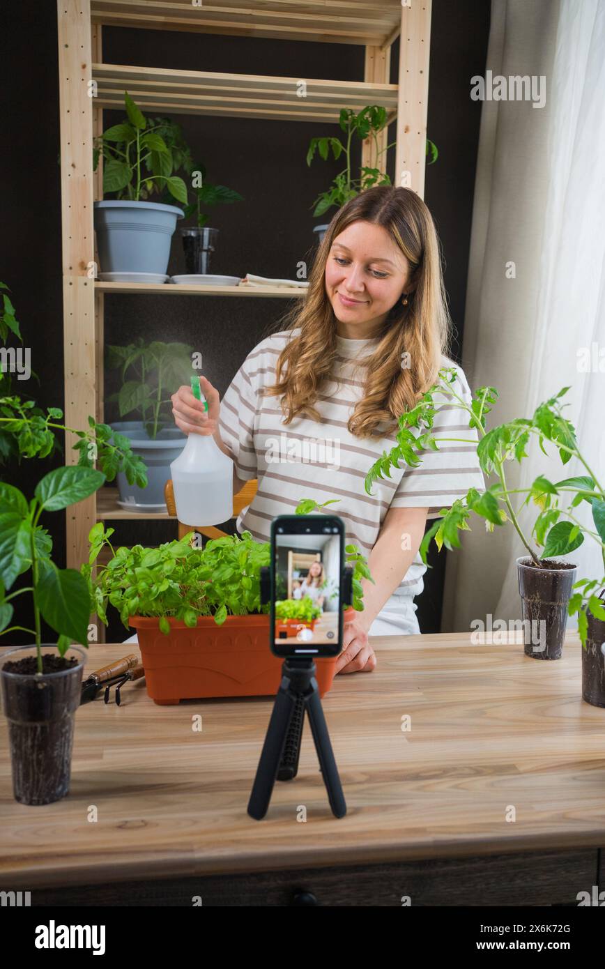 Die Frau wäscht ihre üppigen, grünen Topfkräuter sanft, während sie mit ihrem Smartphone auf einem Stativ ein Gartenlehrbuch aufnimmt. Die Umgebung ist drinnen mit einer warmen, einladenden Atmosphäre. Stockfoto