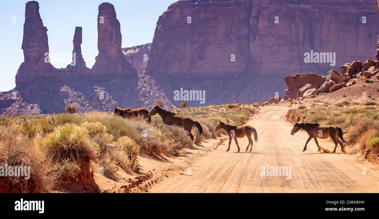 Wilde Pferde überqueren den Weg vor der Felsformation Three Sisters im Monument Valley, Arizona, USA am 21. April 2024 Stockfoto