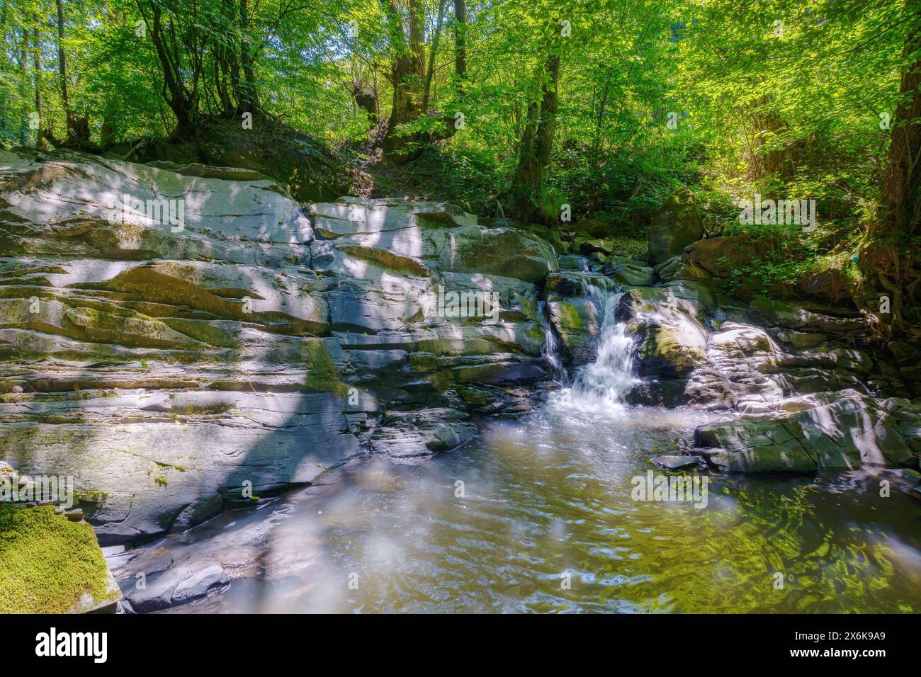 Felsen im Bach. Friedliche Waldlandschaft im Sommer. Reinheit in der Natur. Unbenannter Wasserfall am Simony-Fluss im ukrainischen Bezirk uschhorod Stockfoto