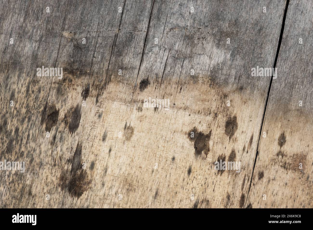 Alte graue Schmirgelsperrholzplatte, Hintergrund-Foto-Textur Stockfoto