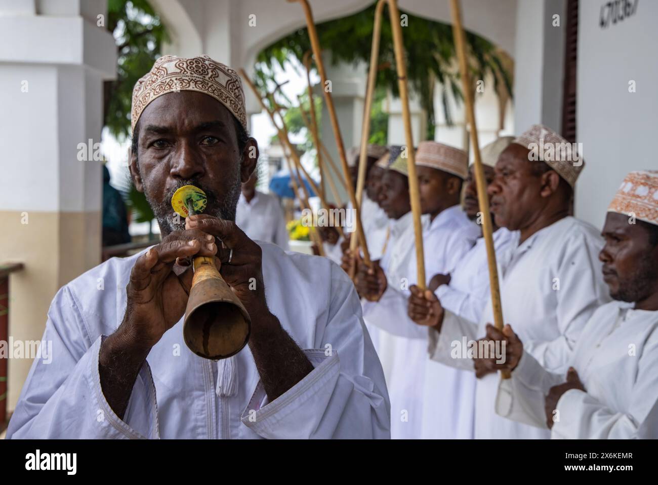 Traditionelle Musik wird von Männern gespielt, die Passagiere auf dem Expeditionskreuzschiff SH Diana (Swan Hellenic), Lamu, Lamu Island, Kenia, Afrika begrüßen Stockfoto