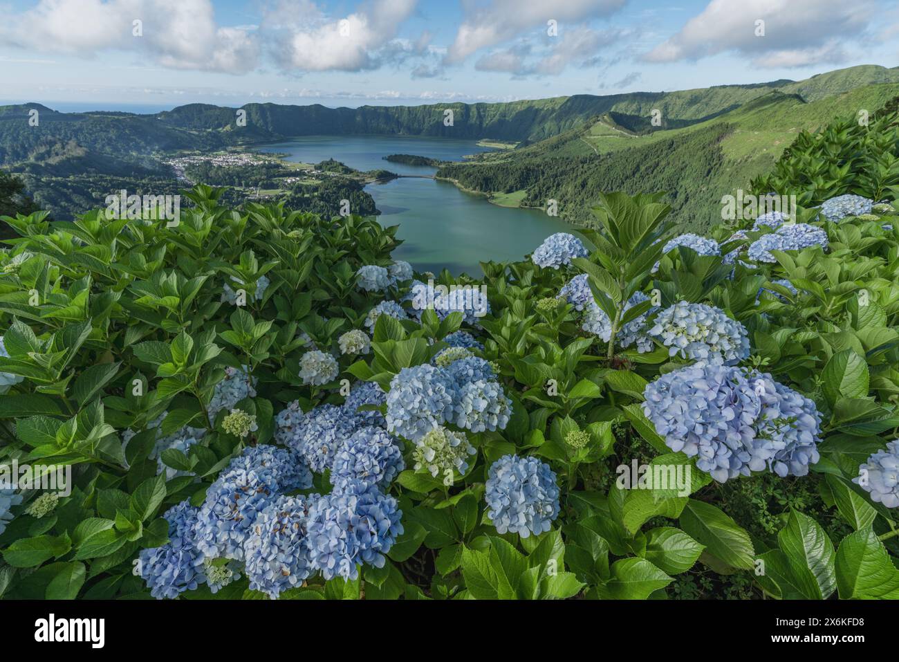 Blick vom Miradouro da Vista do Rei auf die Kraterseen Lagoa Azul und Lagoa Verde mit Hortensien im Vordergrund auf der Azoren Insel Sao M Stockfoto