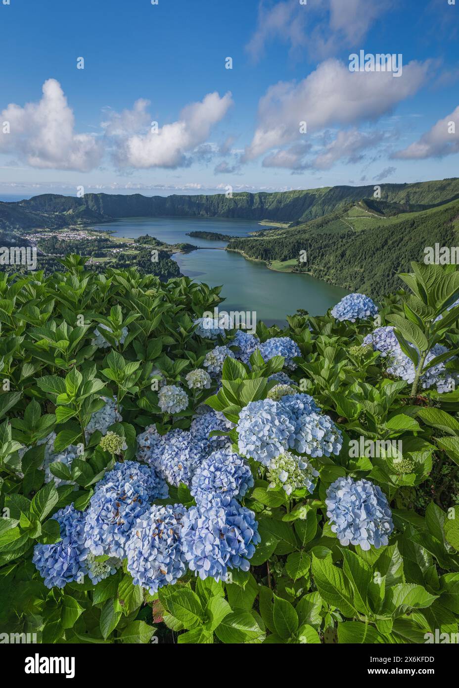 Blick vom Miradouro da Vista do Rei auf die Kraterseen Lagoa Azul und Lagoa Verde mit Hortensien im Vordergrund auf der Azoren Insel Sao M Stockfoto