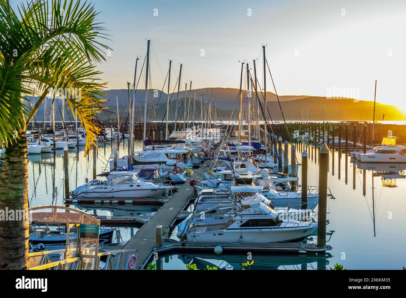 Der Hafen von Airlie Beach, einer Stadt an der Ostküste Australiens im Bundesstaat Queensland Stockfoto
