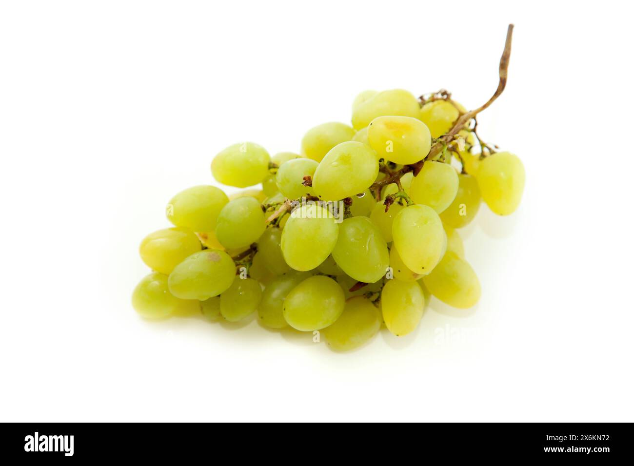Großer Haufen reifer grüner Trauben isoliert auf weißem Hintergrund. Weißweintrauben mit weichem Schatten isoliert auf weiß. Stockfoto