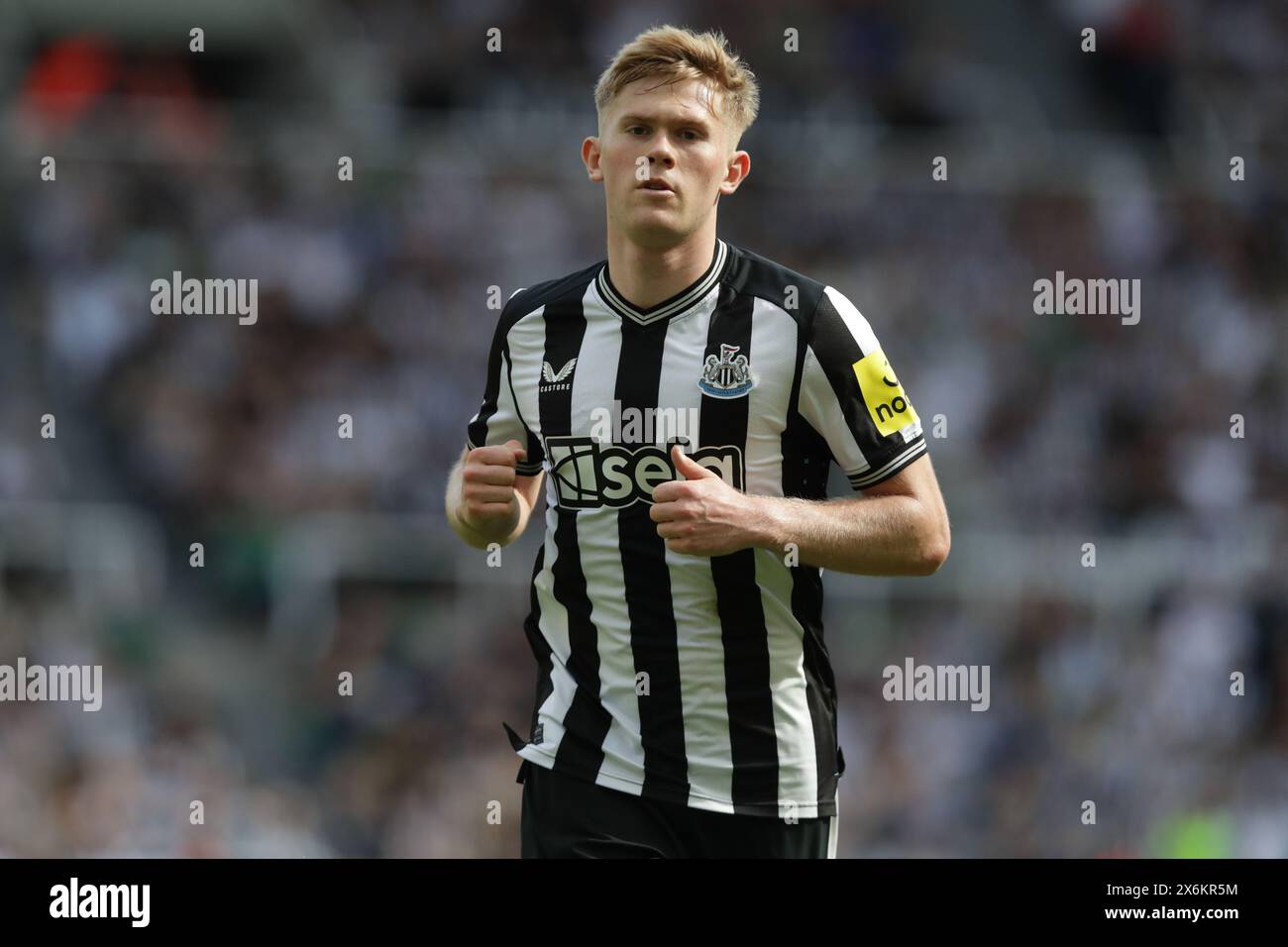 Lewis Hall of Newcastle - Newcastle United / Brighton & Hove Albion, Premier League, St James' Park, Newcastle upon Tyne, Großbritannien - 11. Mai 2024 nur redaktionelle Verwendung - es gelten Einschränkungen bei DataCo Stockfoto