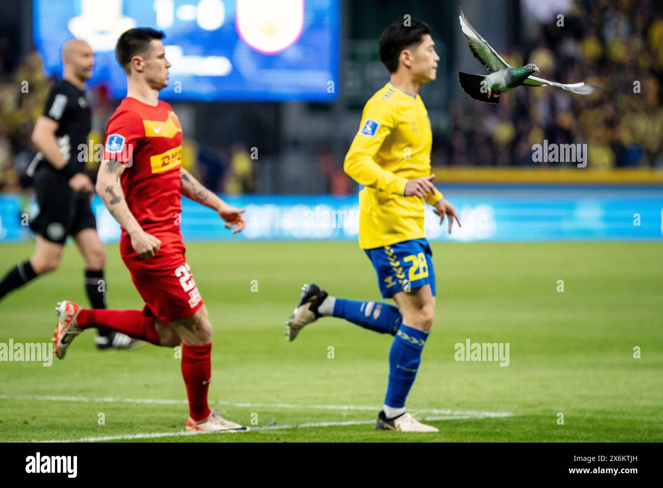 Dänemark. Mai 2024. Broendby IF ist Yuito Suzuki und Oliver Villadsen des FC Nordsjaelland während des 3F Superliga-Spiels zwischen Broendby IF und FC Nordsjaelland im Broendby Stadium in Broendby, Mittwoch, den 15. Mai 2024. (Foto: Mads Claus Rasmussen/Ritzau Scanpix) Credit: Ritzau/Alamy Live News Stockfoto