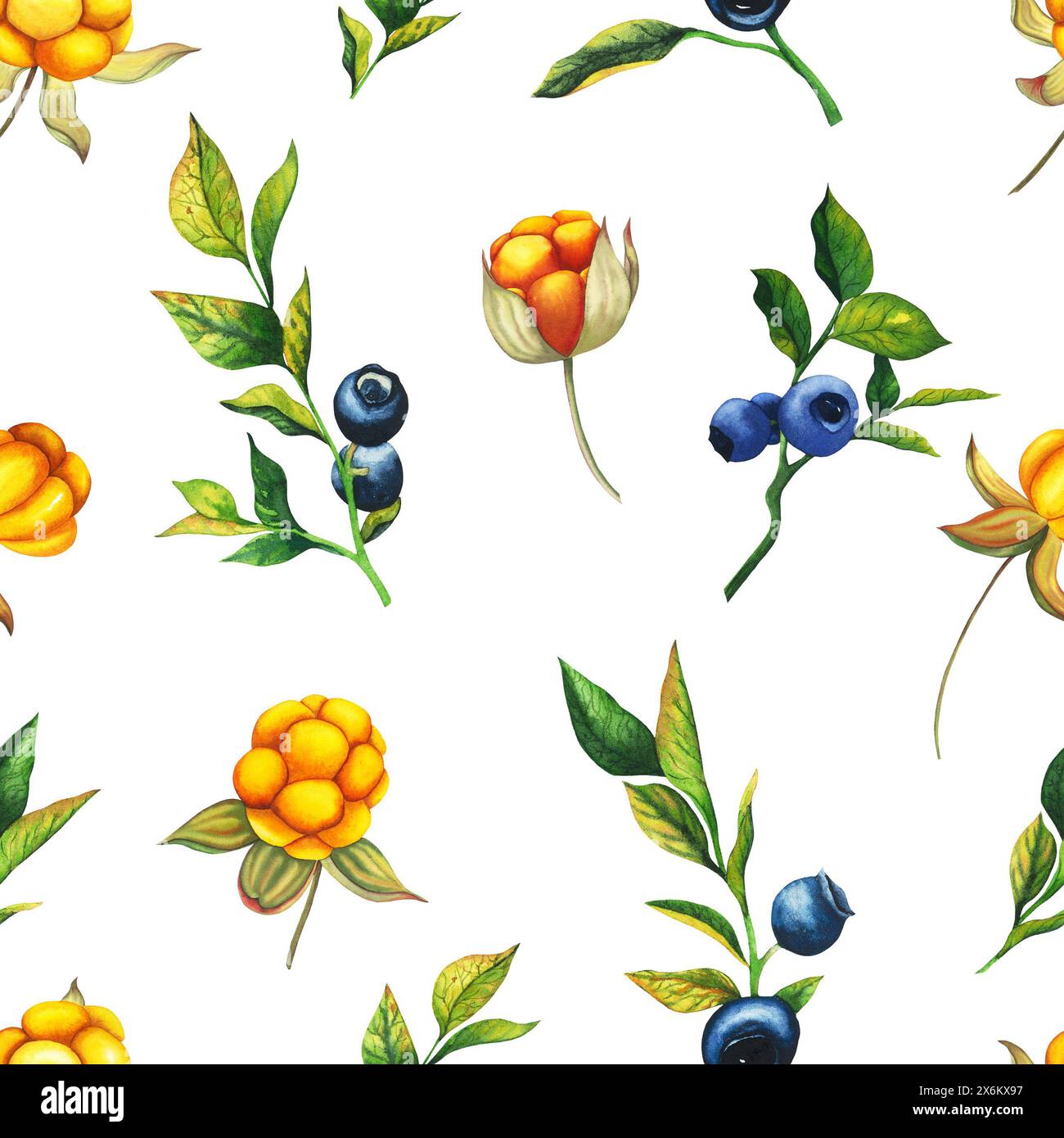 Nahtloses Aquarellmuster mit handgezeichneter Orangenbeere und Heidelbeere mit Beeren, Blättern, Zweigen. Botanische Waldbeeren-Illustration auf Stockfoto