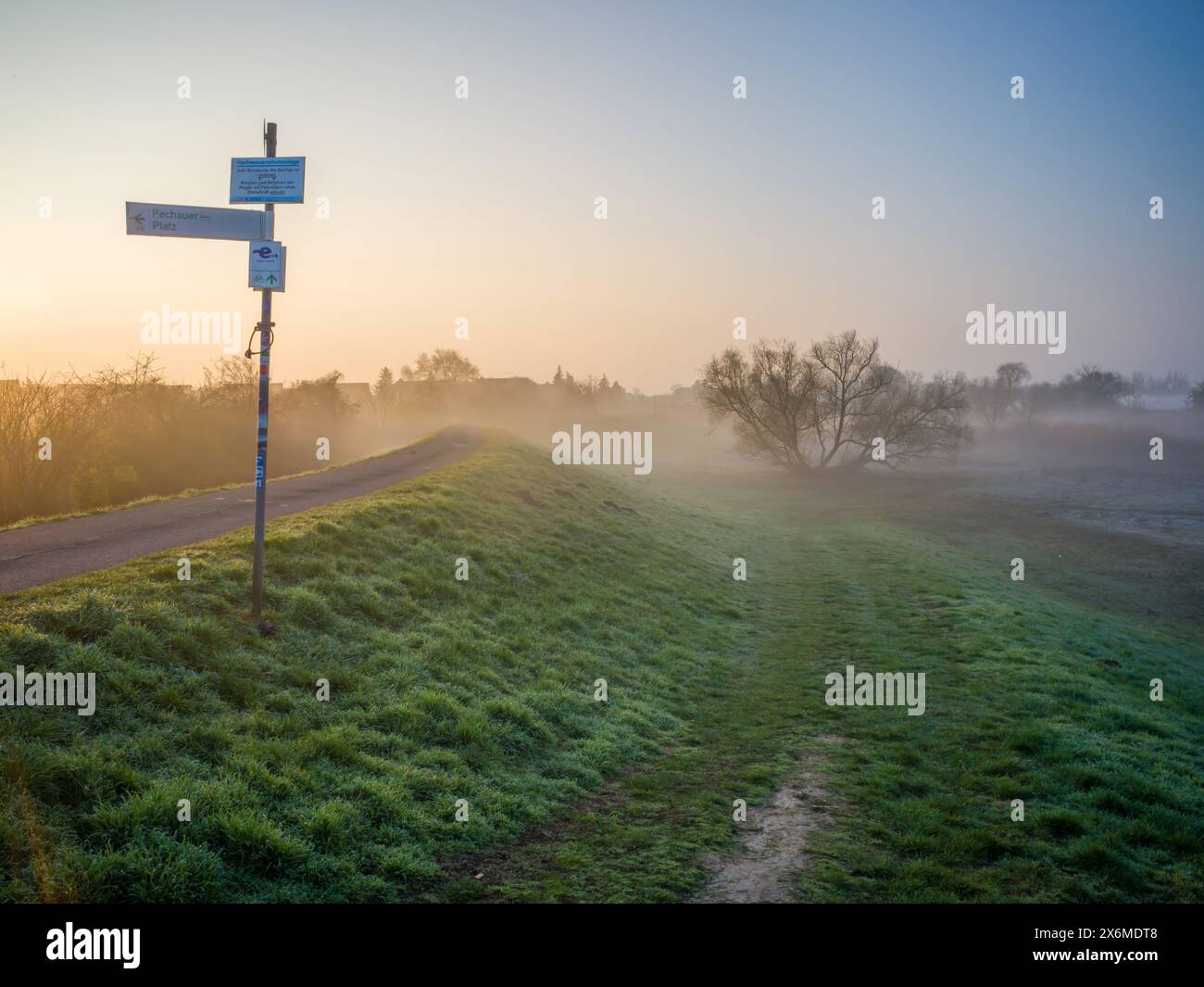 Elbdeich in Magdeburg-Cracau im Morgennebel, Prestersee, Alte Elbe, Elbe, Magdeburg, Sachsen-Anhalt, Mitteldeutschland, Deutschland, Europa Stockfoto