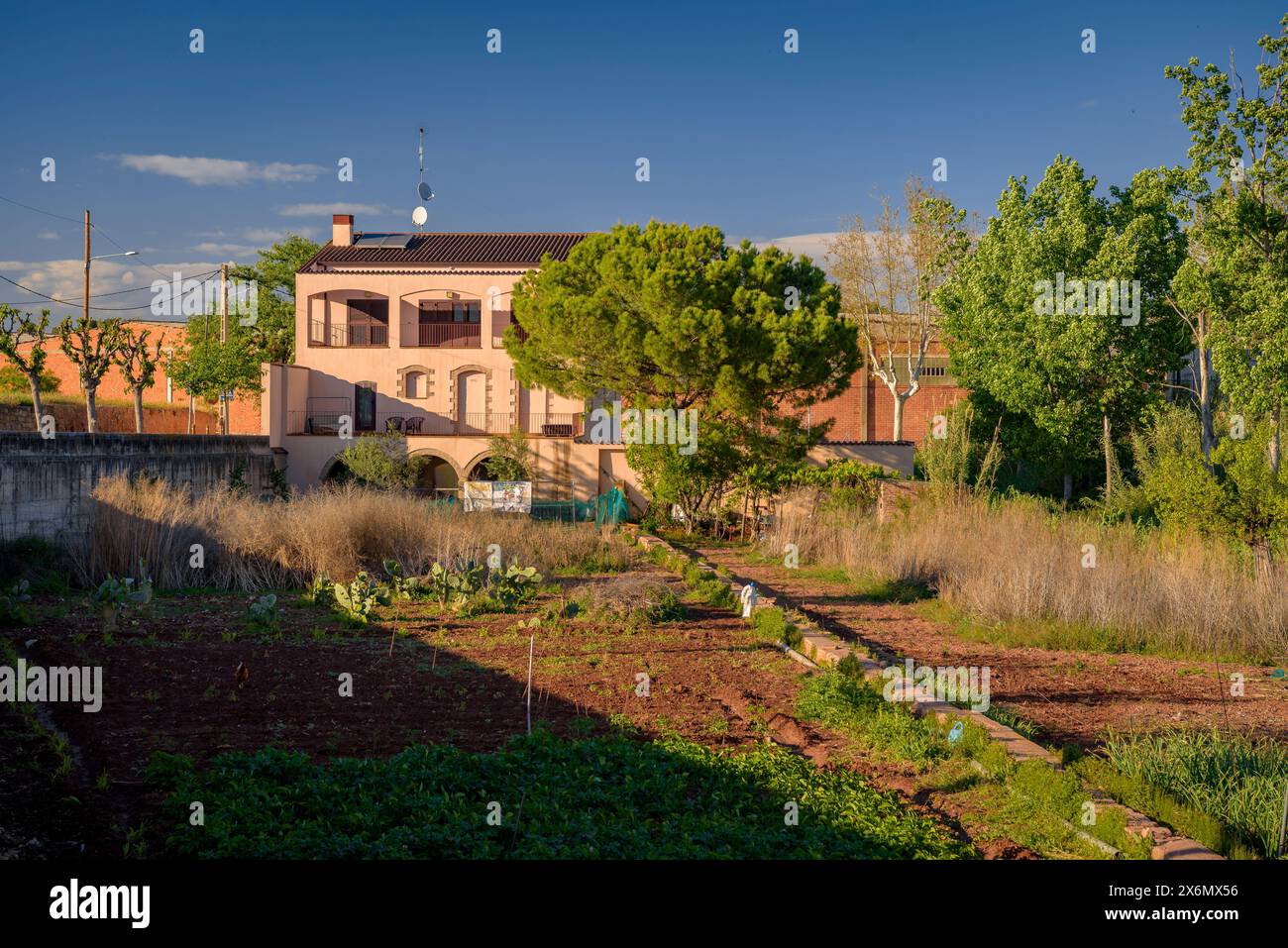 Obstgärten und ein Haus in Sant Fruitós de Bages bei Sonnenuntergang (Bages, Barcelona, ​​Catalonia, Spanien) ESP: Huertos y una casa en Sant Fruitós de Bages Stockfoto