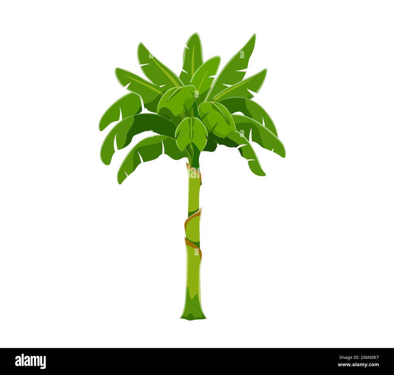 Cartoon-Dschungel-Regenwaldpalme. Isolierte Vektorstrandpflanze mit üppigen Wedern. Lebhafte tropische Vegetation, Artenvielfalt, Wildumgebung, exotische Palmen mit grünem Laub Stock Vektor