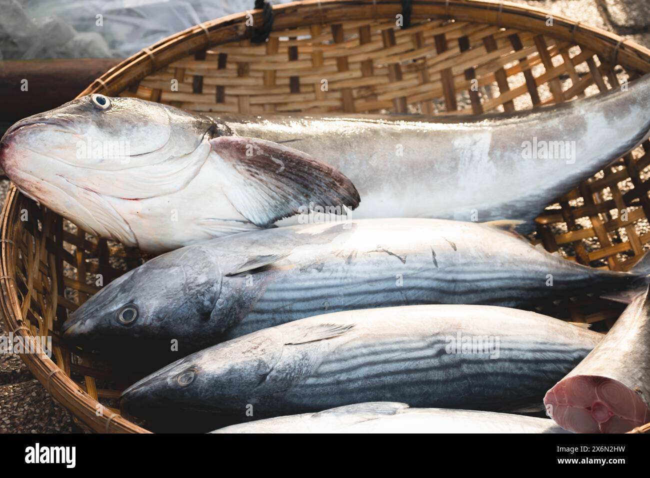 Verschiedene Fische werden in verschiedene Körbe gelegt und auf dem Fischmarkt verkauft. Fangfrische Fänge warten auf den Verkauf. Örtlicher Fischhändler, der fres verkauft Stockfoto