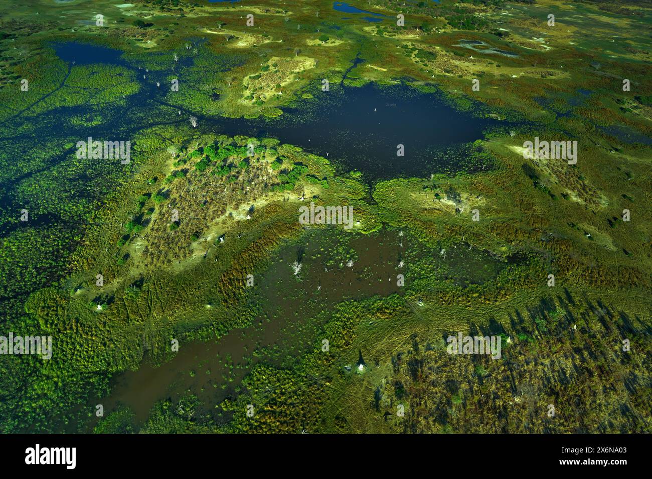 Luftlandschaft im Okavango Delta, Botswana. Seen und Flüsse, Blick vom Flugzeug. Grüne Vegetation in Südafrika. Bäume mit Wasser in der Regenzeit Stockfoto