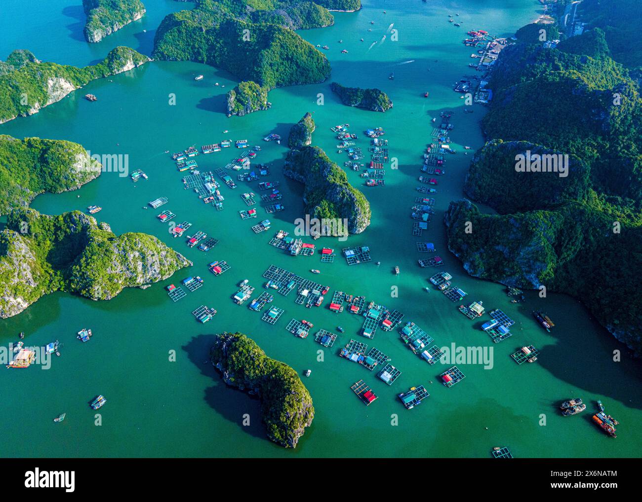Luftaufnahme von Lan Ha Bay, Hai Phong Stadt, Vietnam Stockfoto