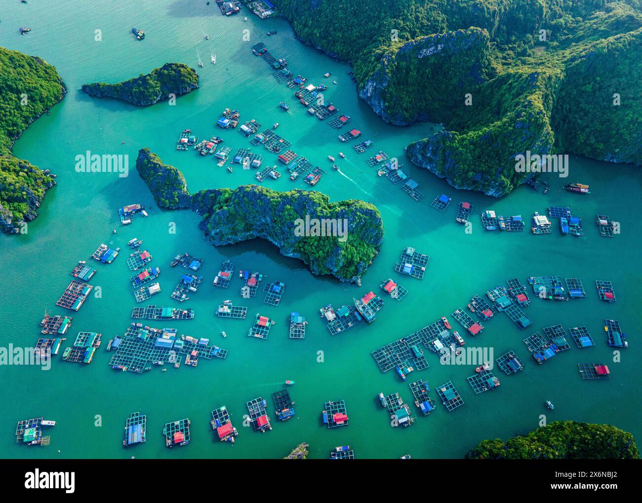 Luftaufnahme von Lan Ha Bay, Hai Phong Stadt, Vietnam Stockfoto