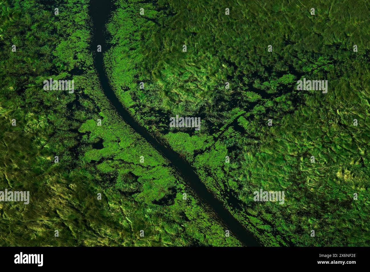 Grüner Fluss, Luftlandschaft im Okavango-Delta, Botswana. Seen und Flüsse, Blick aus dem Flugzeug. Vegetation in Südafrika. Bäume mit Wasser bei Regen Stockfoto