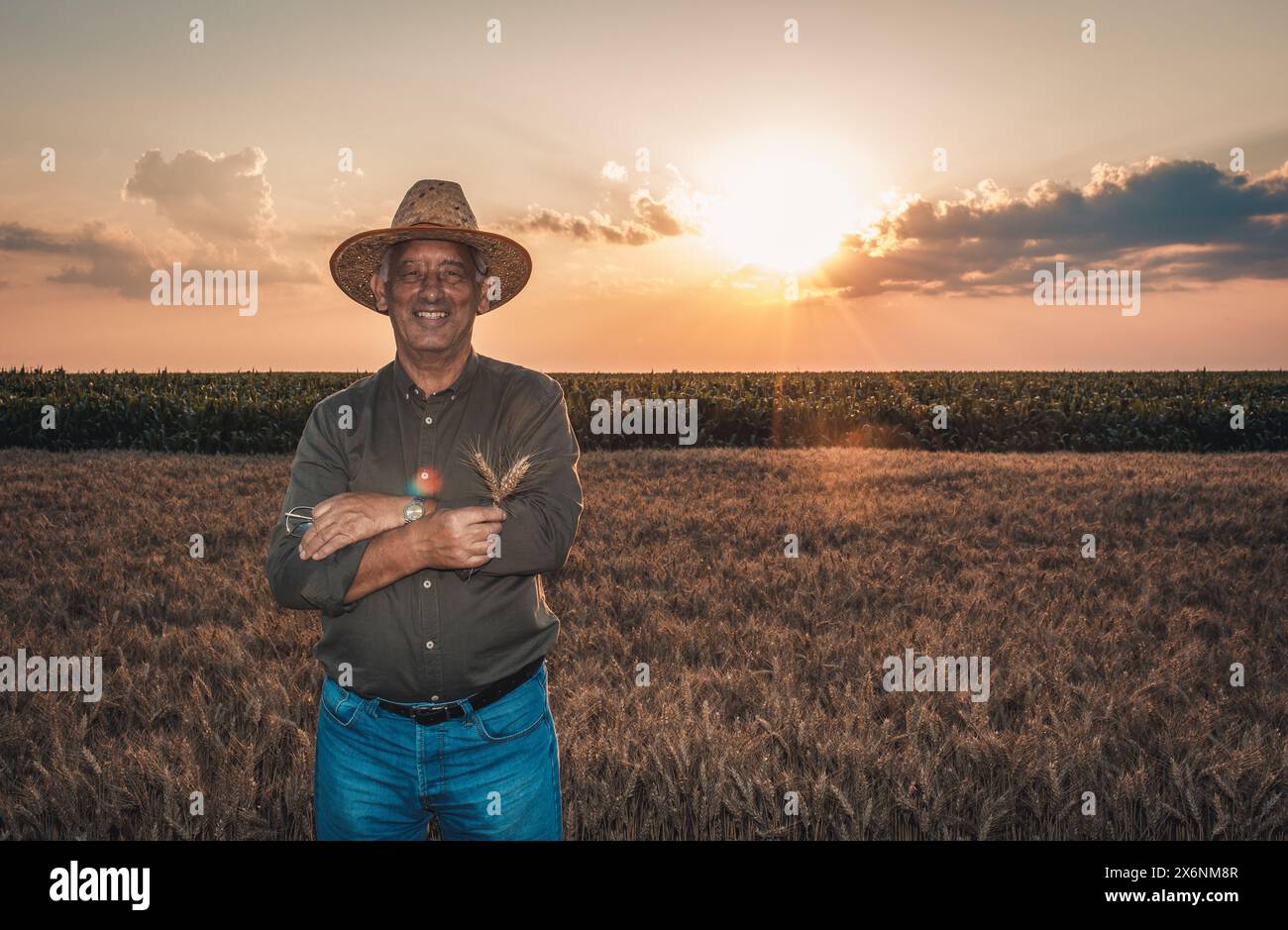 Porträt eines Seniorenbauers mit Hut im Weizenfeld bei Sonnenuntergang. Stockfoto