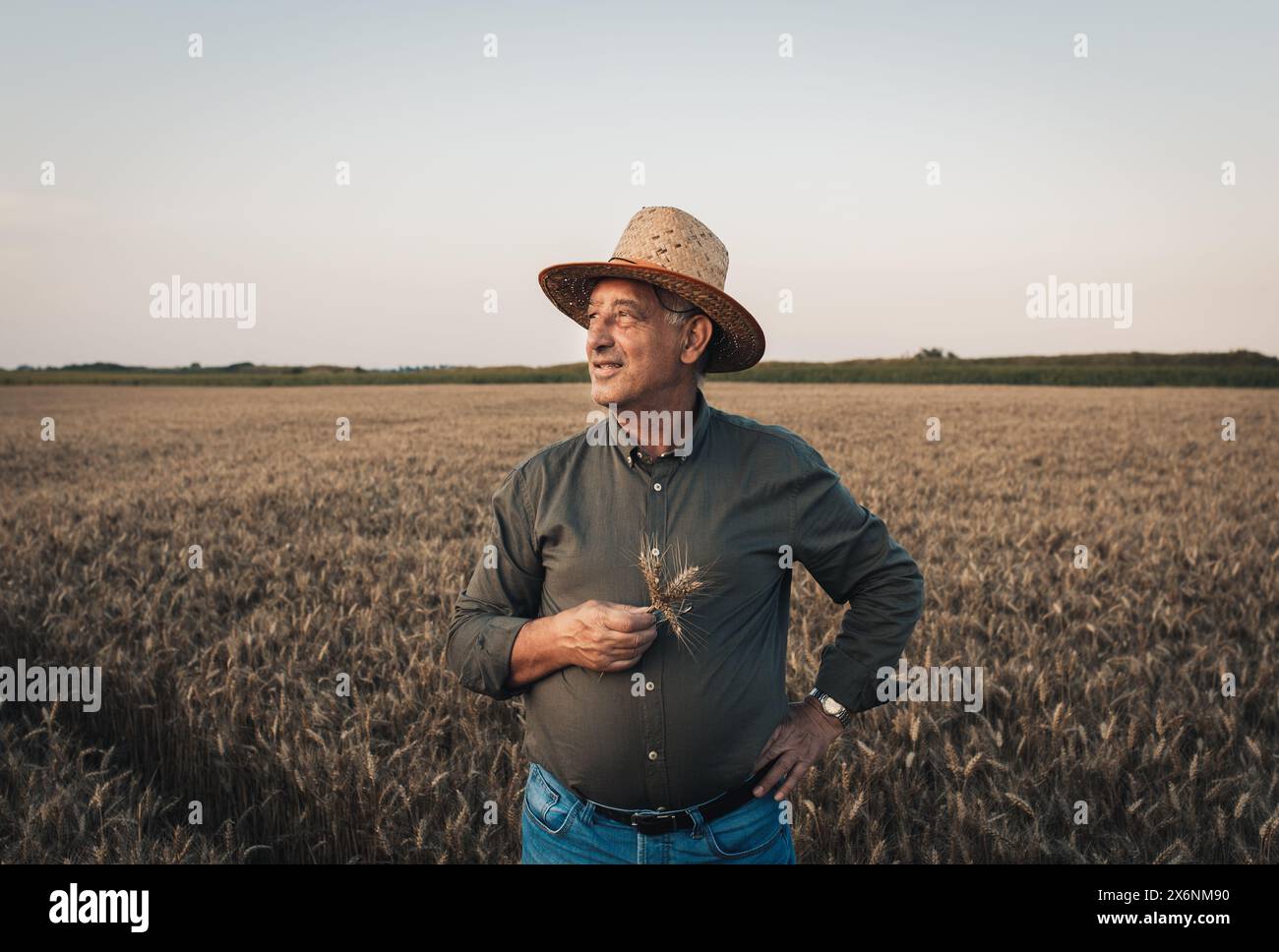 Porträt eines Seniorenbauers mit Hut im Weizenfeld bei Sonnenuntergang. Stockfoto