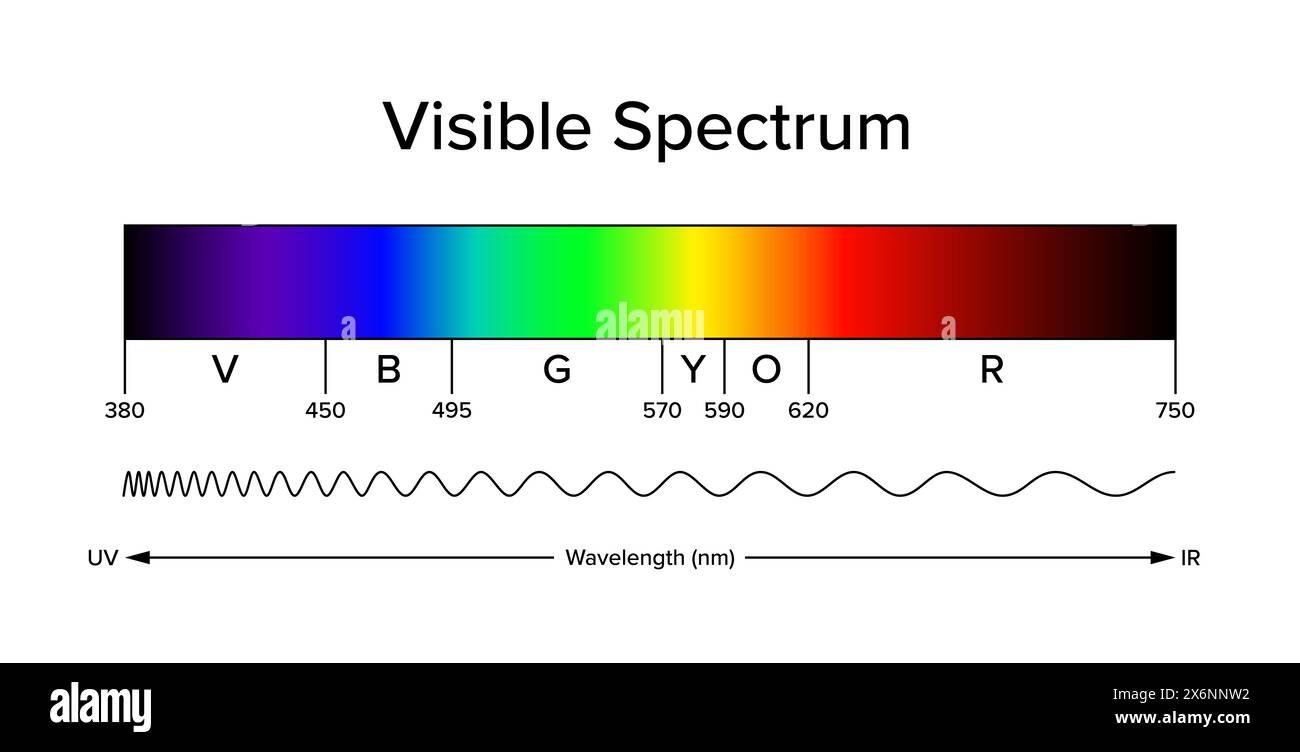 Diagramm des sichtbaren Spektrums, des elektromagnetischen Spektrums, sichtbar für das menschliche Auge. Licht kann Spektralfarben erzeugen. Stockfoto