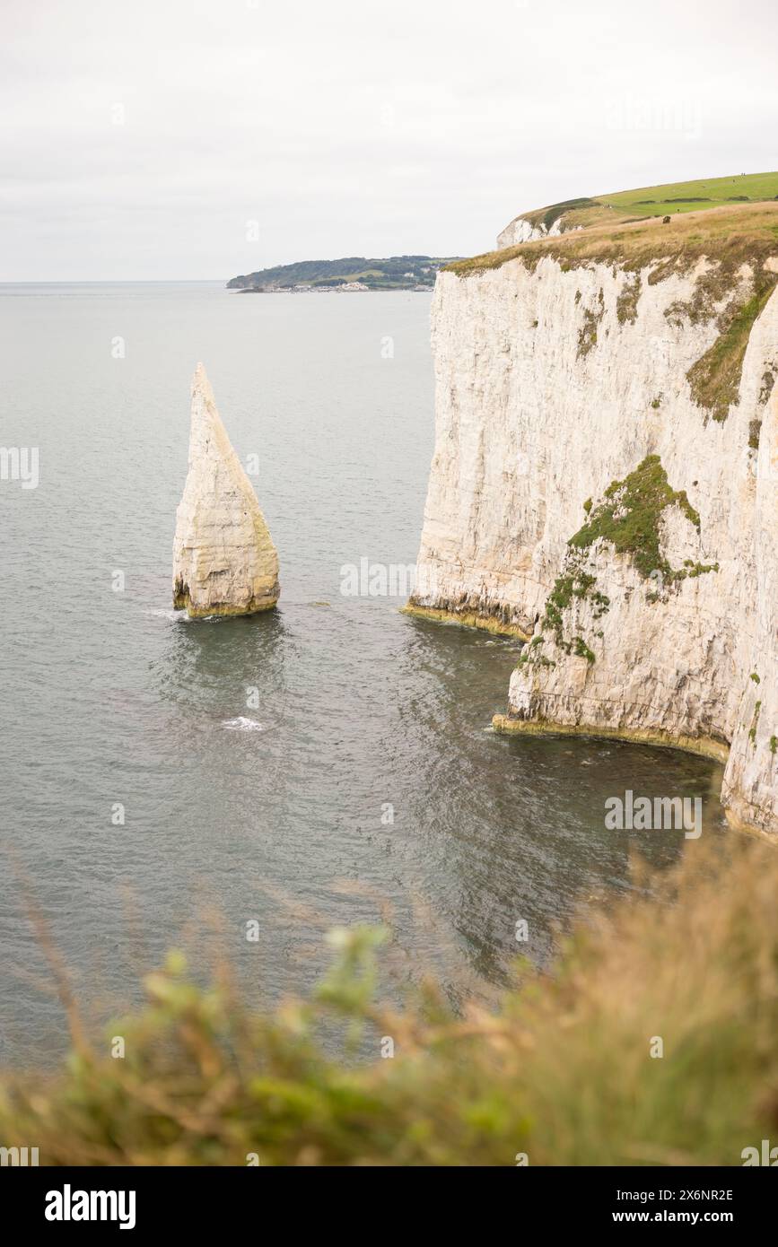 Die Pinnacles, Der Alte Harry Rocks. Das Meer stapelt sich vor der Jurassic Coast, UNESCO-Weltkulturerbe in Dorset, Großbritannien Stockfoto