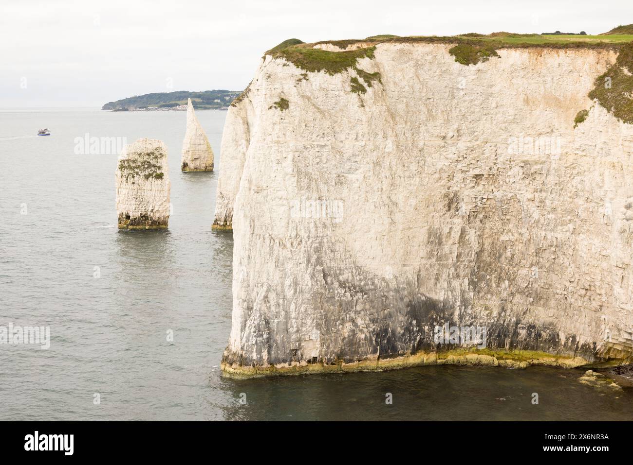 Die Pinnacles, Der Alte Harry Rocks. Das Meer stapelt sich vor der Jurassic Coast, UNESCO-Weltkulturerbe in Dorset, Großbritannien Stockfoto