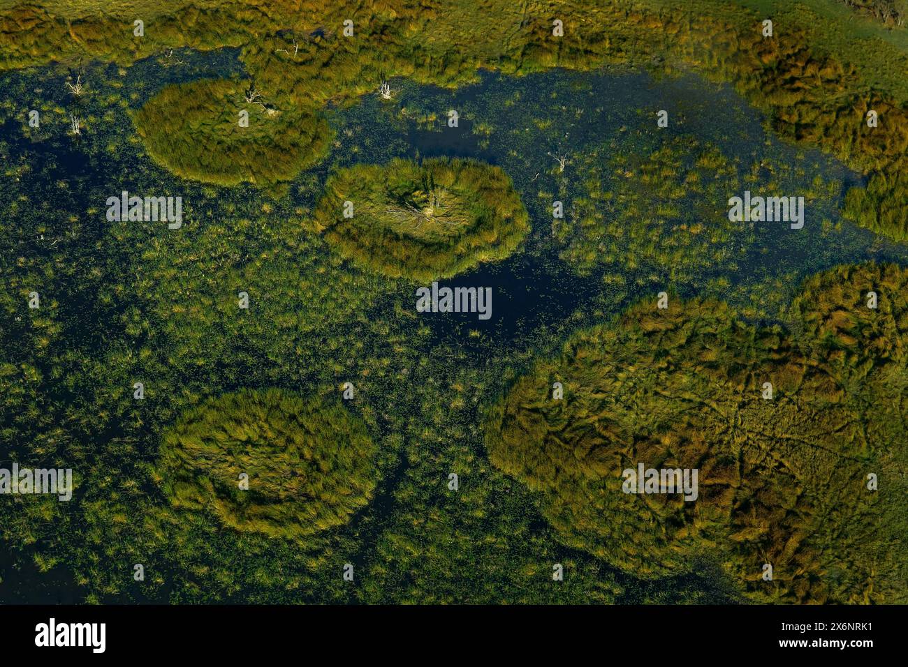 Afrika Luftlandschaft, grüner Fluss, Okavango-Delta in Botswana. Seen und Flüsse, Blick aus dem Flugzeug. Wald. Vegetation in Südafrika. Bäume mit Stockfoto